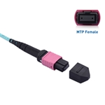 Cable Matters MTP® Female to LC UPC Duplex OM4 Multimode Breakout Fiber Optic Cable