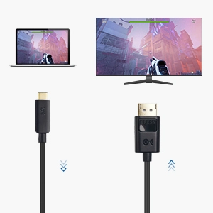 USB-C to DisplayPort Cable