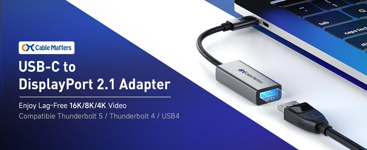 USB C to DisplayPort 2.1 Adapter