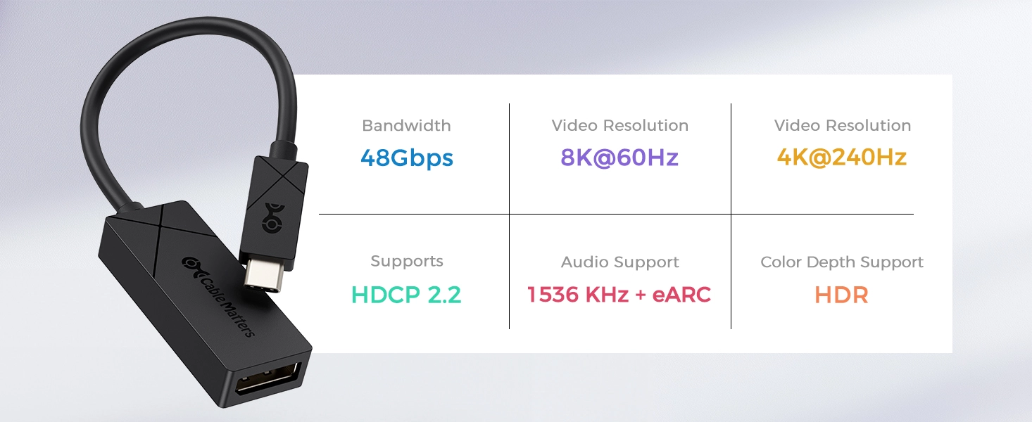 USB C to DisplayPort 1.4 Adapter 