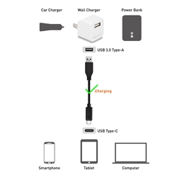 Cable Matters USB C to Mini USB Cable 3.3 ft, Mini USB to USB C Cable for  Game Controller, Camera, GPS, Dash Cam in Black - 3.3 Feet